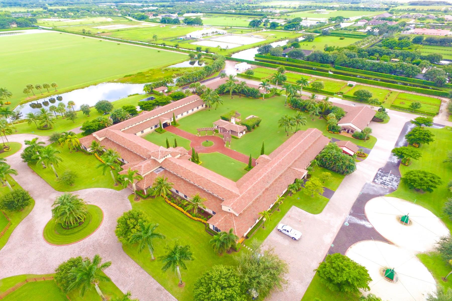 Palm Beach Point East - Residential