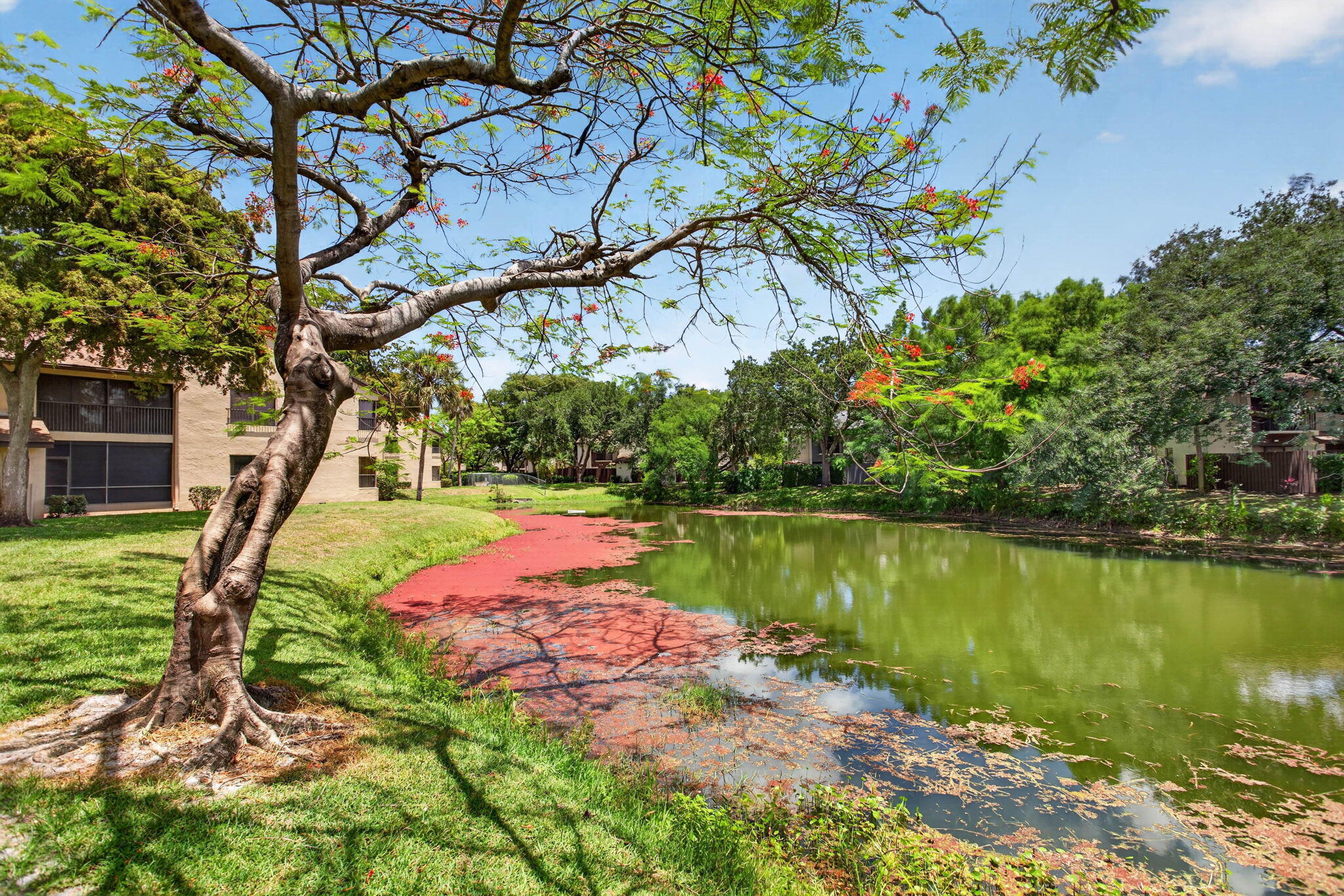 3713 Cocoplum Circle 3545