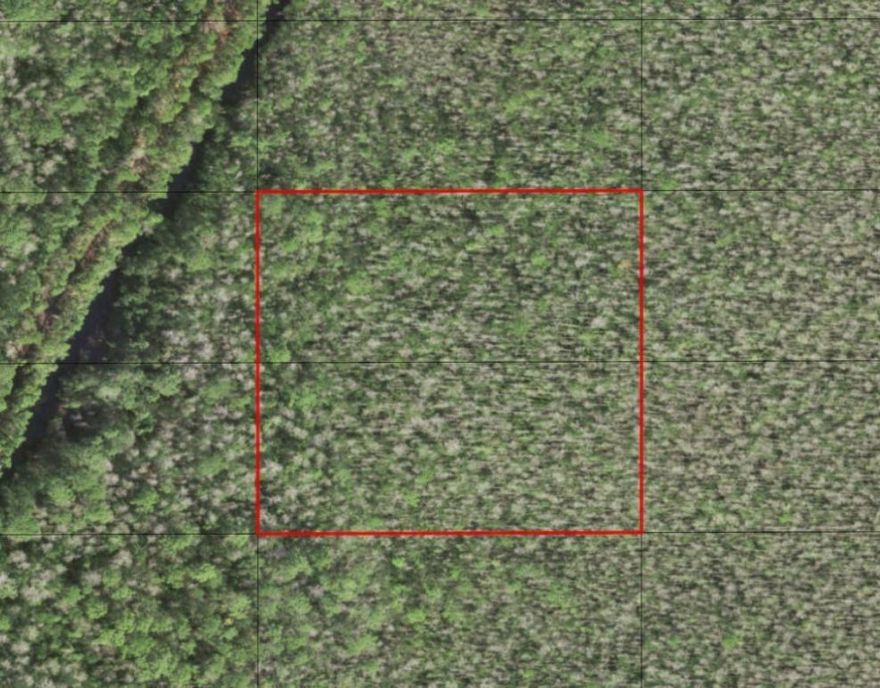 2.5 acres of pristine hunting land in Holopaw. Make it yours today with only $1.5k down!