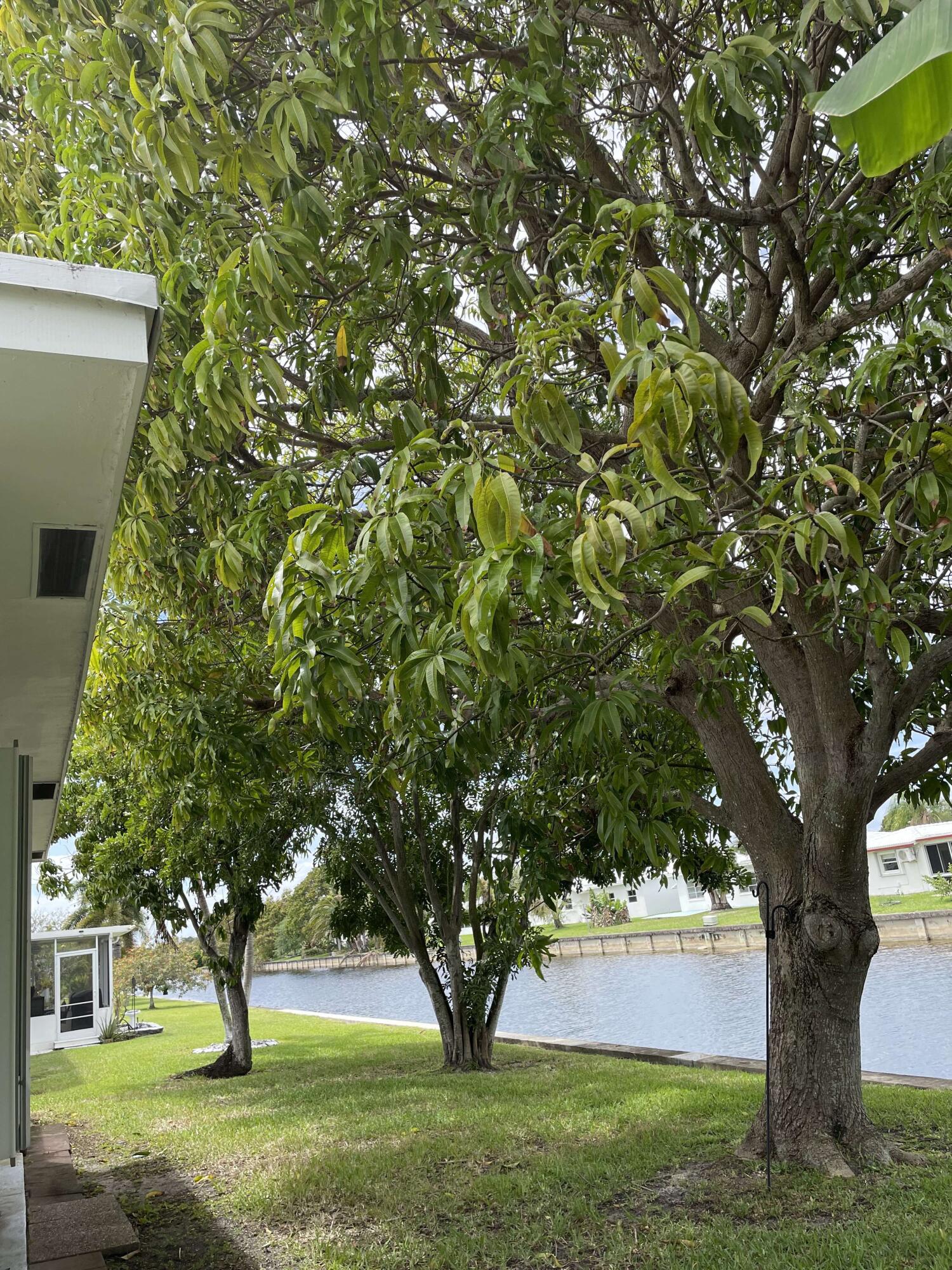 MAINLANDS OF TAMARAC LAKES - Residential