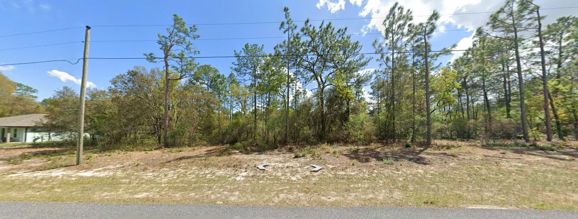 CITRUS SPRINGS UNIT 06 - Land