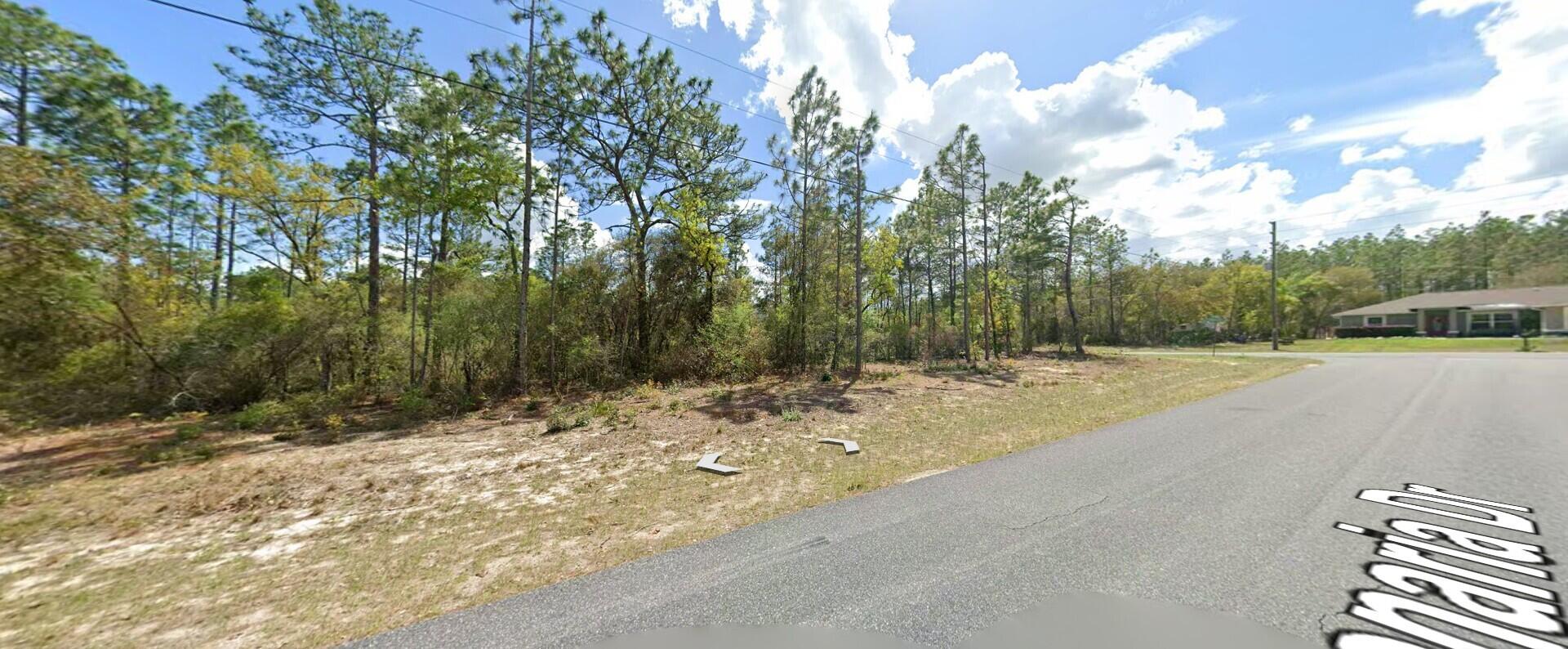 CITRUS SPRINGS UNIT 06 - Land