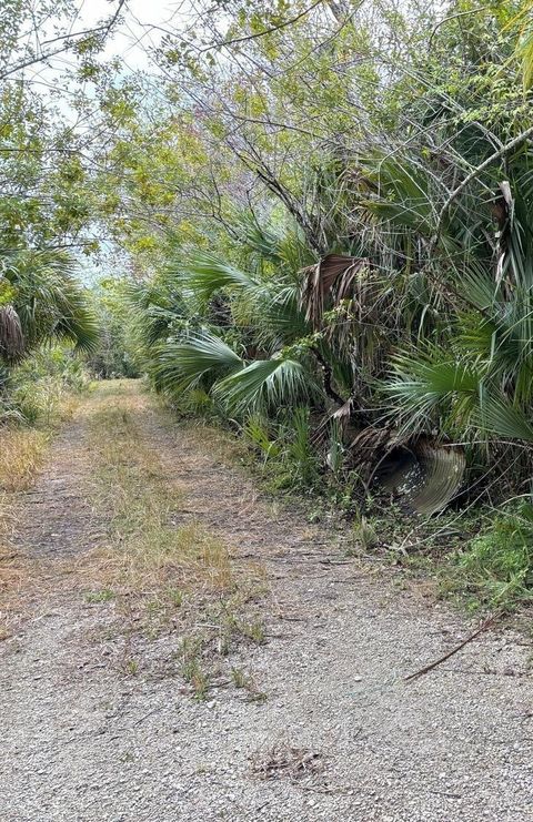 0 Hidden Oaks Lane Oak Hill FL 32759