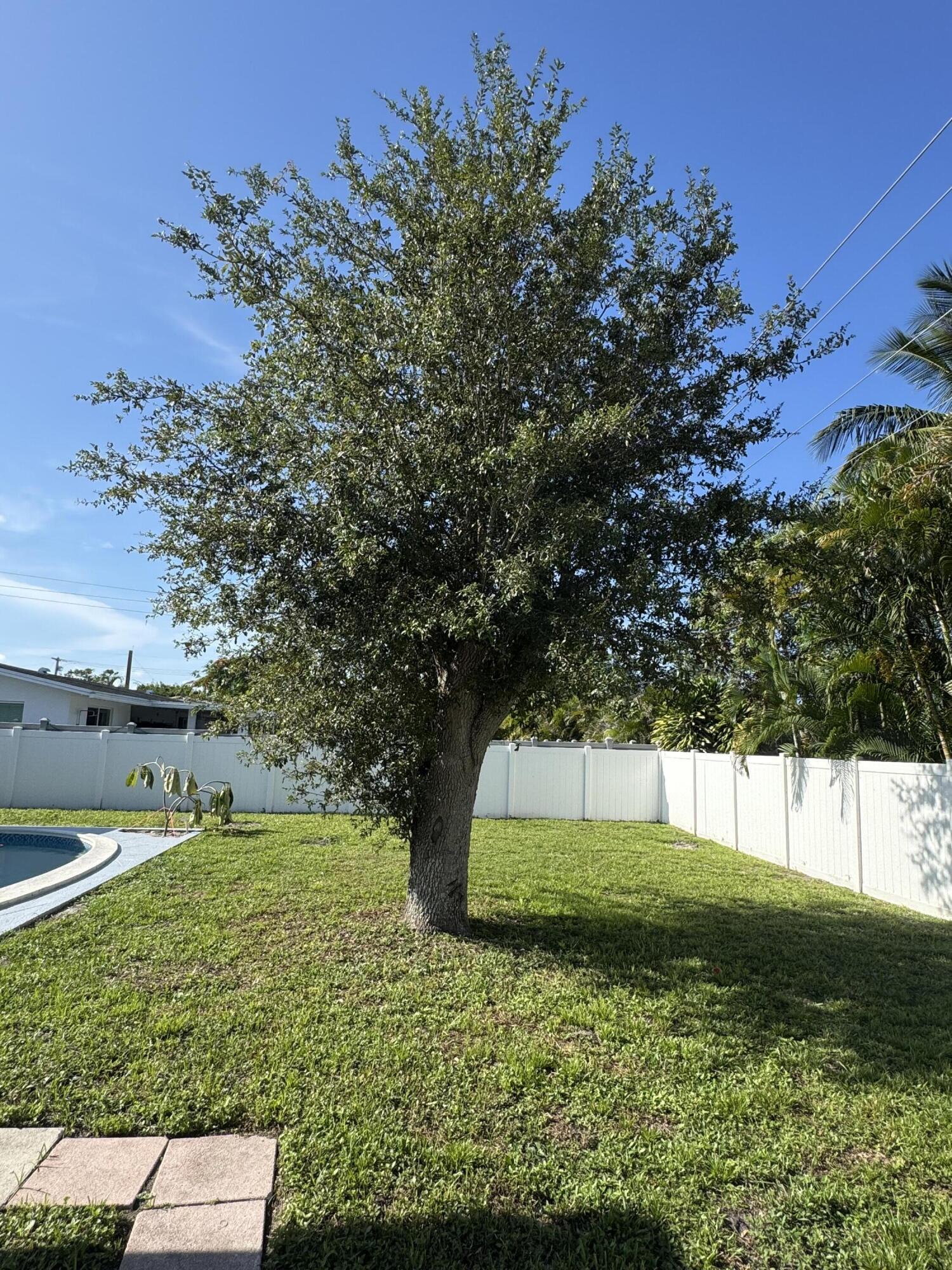 PALMETTO PARK TERRACE UNIT 1 - Residential