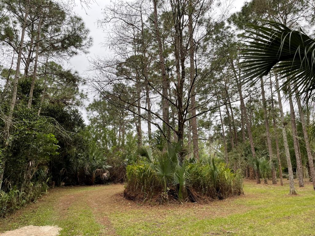 Rare And Unique Two Acre Parcel In North Palm Beach County! Beautifully Wooded Parcel Abutting The C-18 Canal That Offers A ScenicWalking / Bike Trail And Fishing Right Outside Your Door! This Park Like Setting Is Only Minutes From PGA Blvd, 20 Minutes To The Ocean And 5 Minutes To The North County Airport! Majestic Old Oak Trees, Stately Pines A Pond And A Stream Adorn The Property. The Property Does Have Some Improvements/Structures. A Home That Is In Need Of Repairs Is A Bonus! Home Is Not Warranted By The Seller Or The Sellers Representatives. This Property Could Be Your Perfect Weekend Hide Away. So Close To Everything But You Will Feel As If You Traveled To Some Where In Paradise! This Is A Diamond In The Rough Surrounded By Large Newly Constructed Homes! Will Not Last Long!