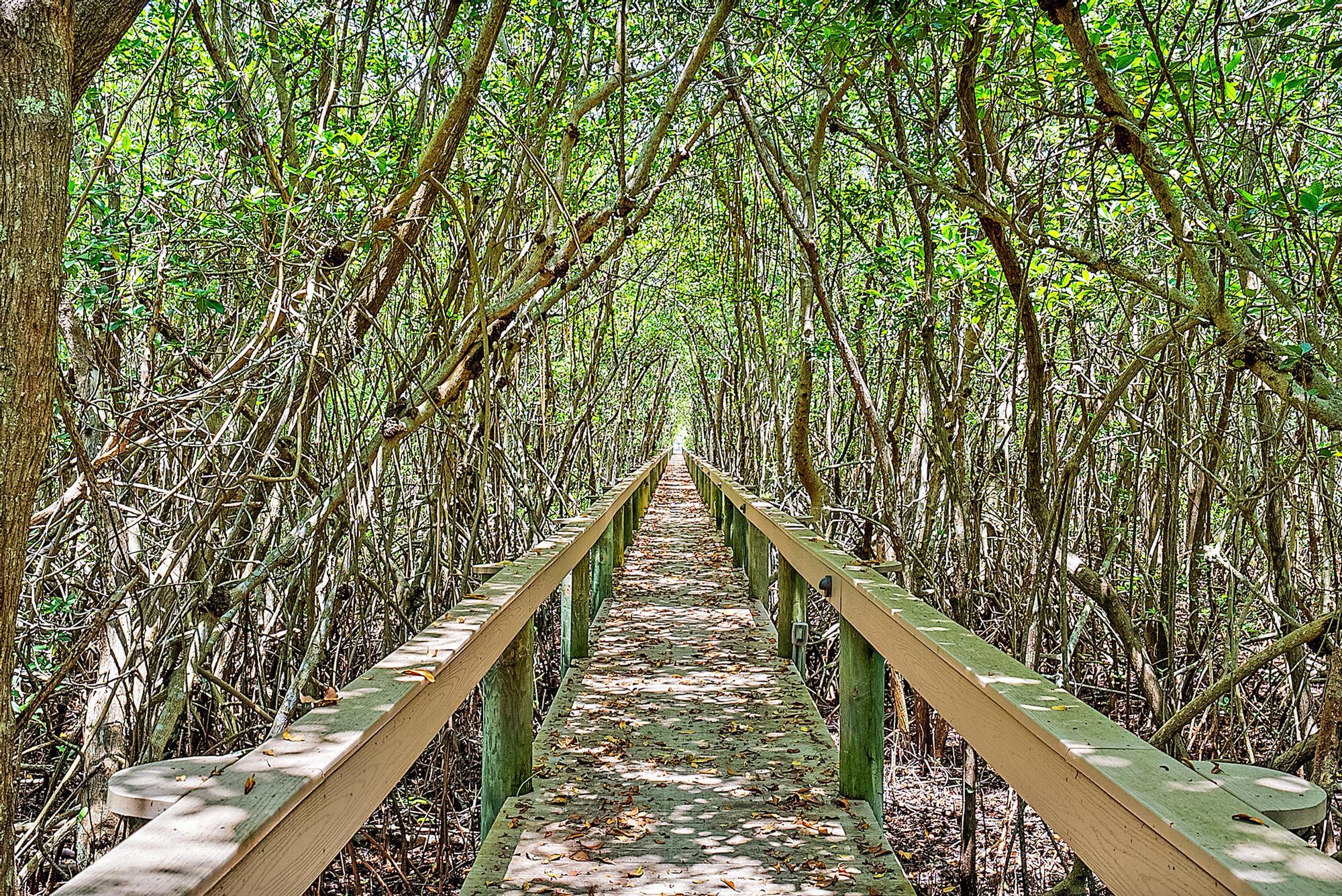 MYSTIC COVE - Residential