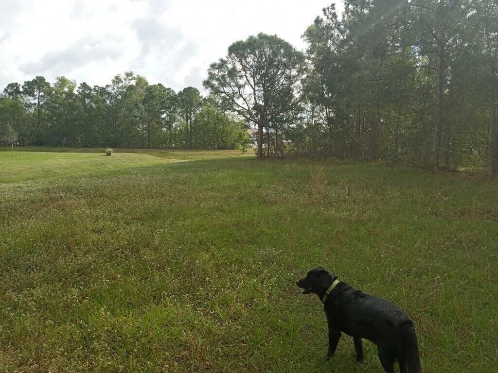 Photo of 5542 NW North Lundy Cir Circle, Port St Lucie, FL 34986 (MLS # R10858317)