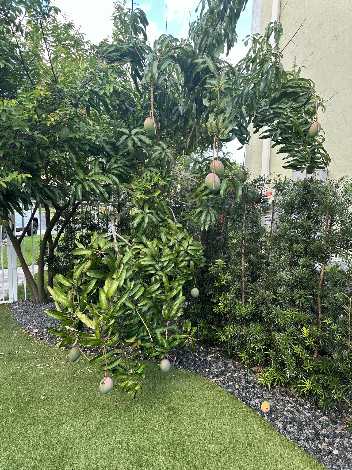 WINTERPLACE - Residential