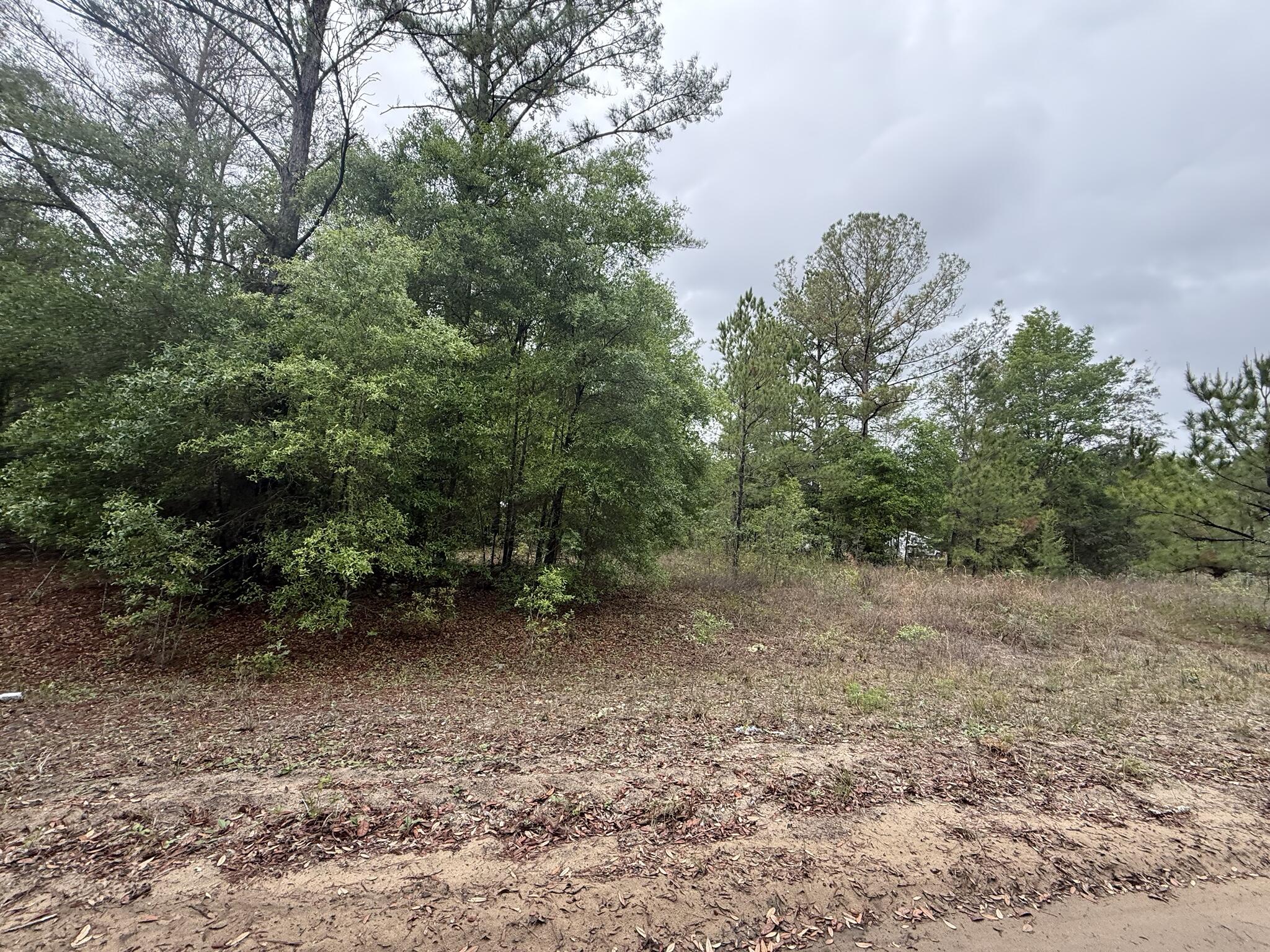 INTERLACHEN LAKES ESTATES - Land