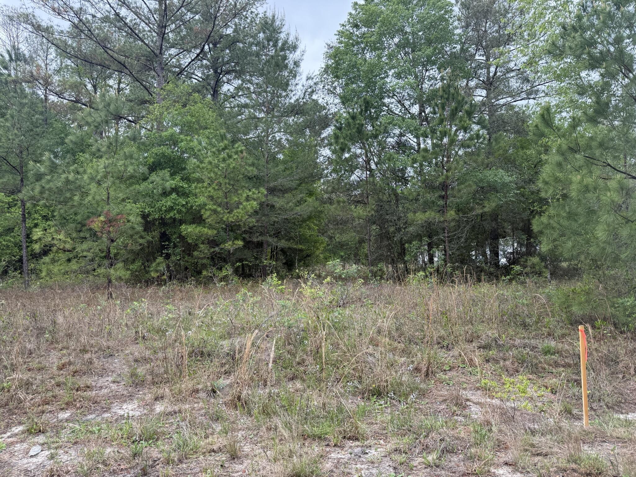 INTERLACHEN LAKES ESTATES - Land