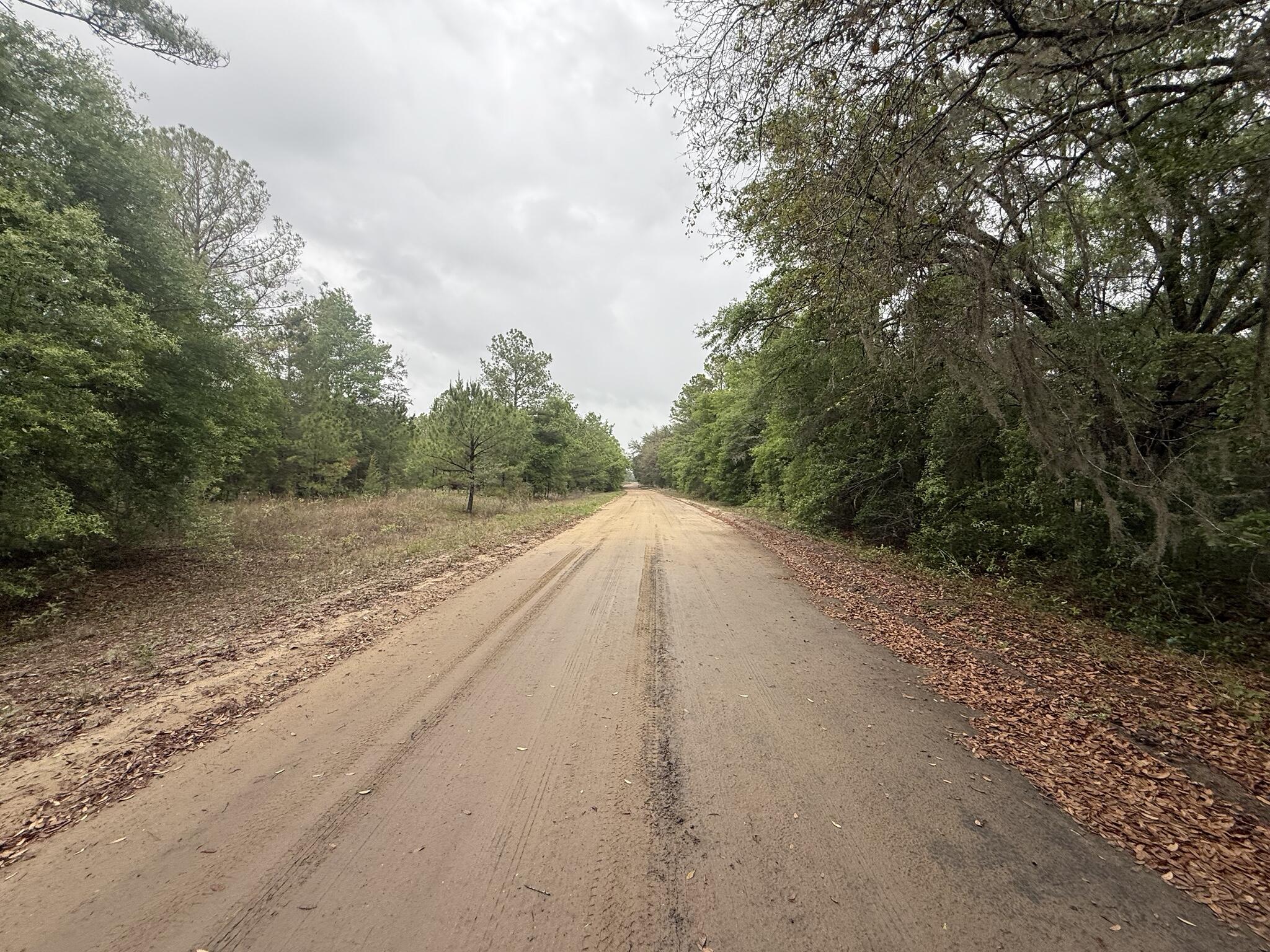 INTERLACHEN LAKES ESTATES - Land