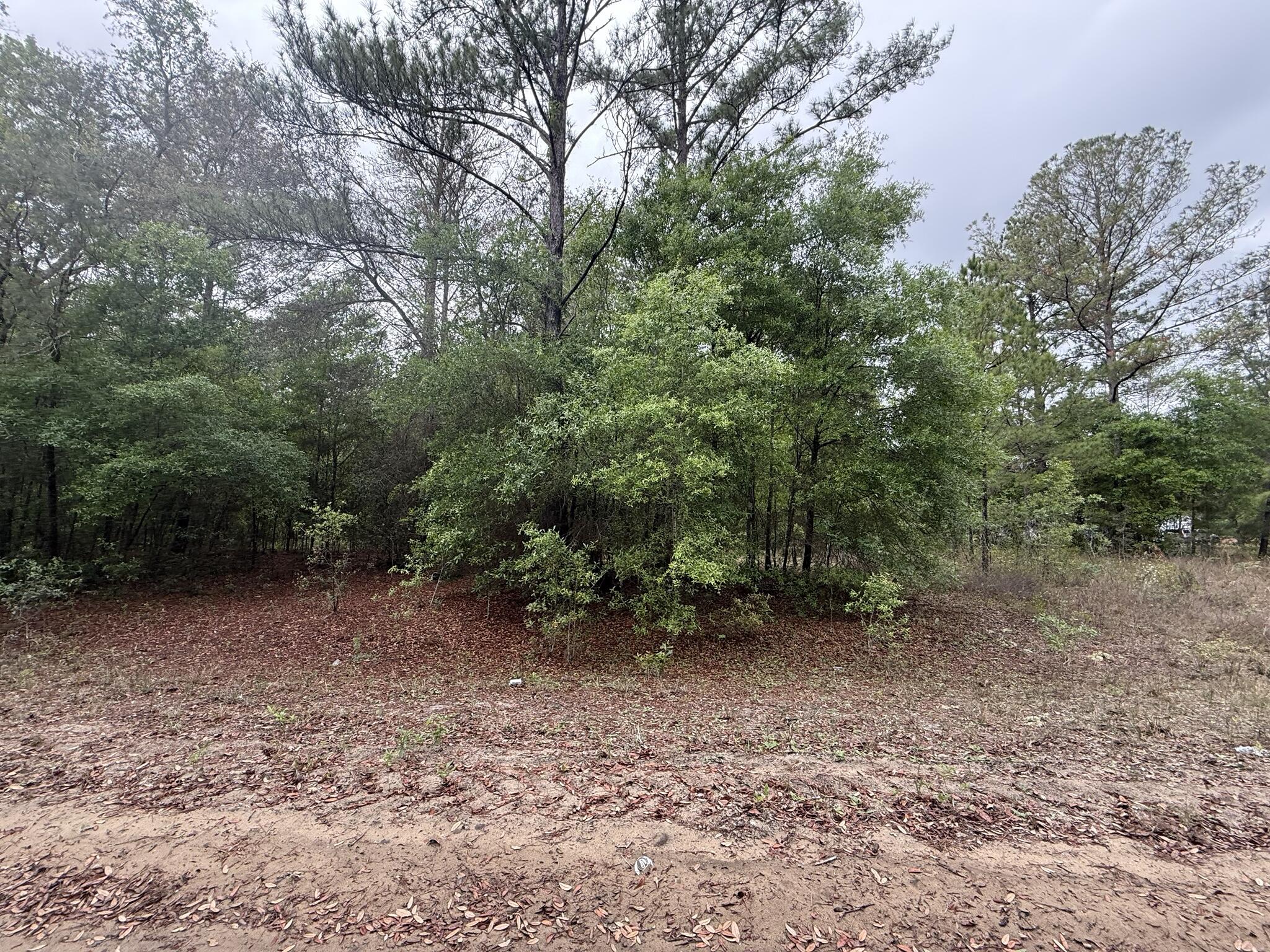 INTERLACHEN LAKES ESTATES - Land