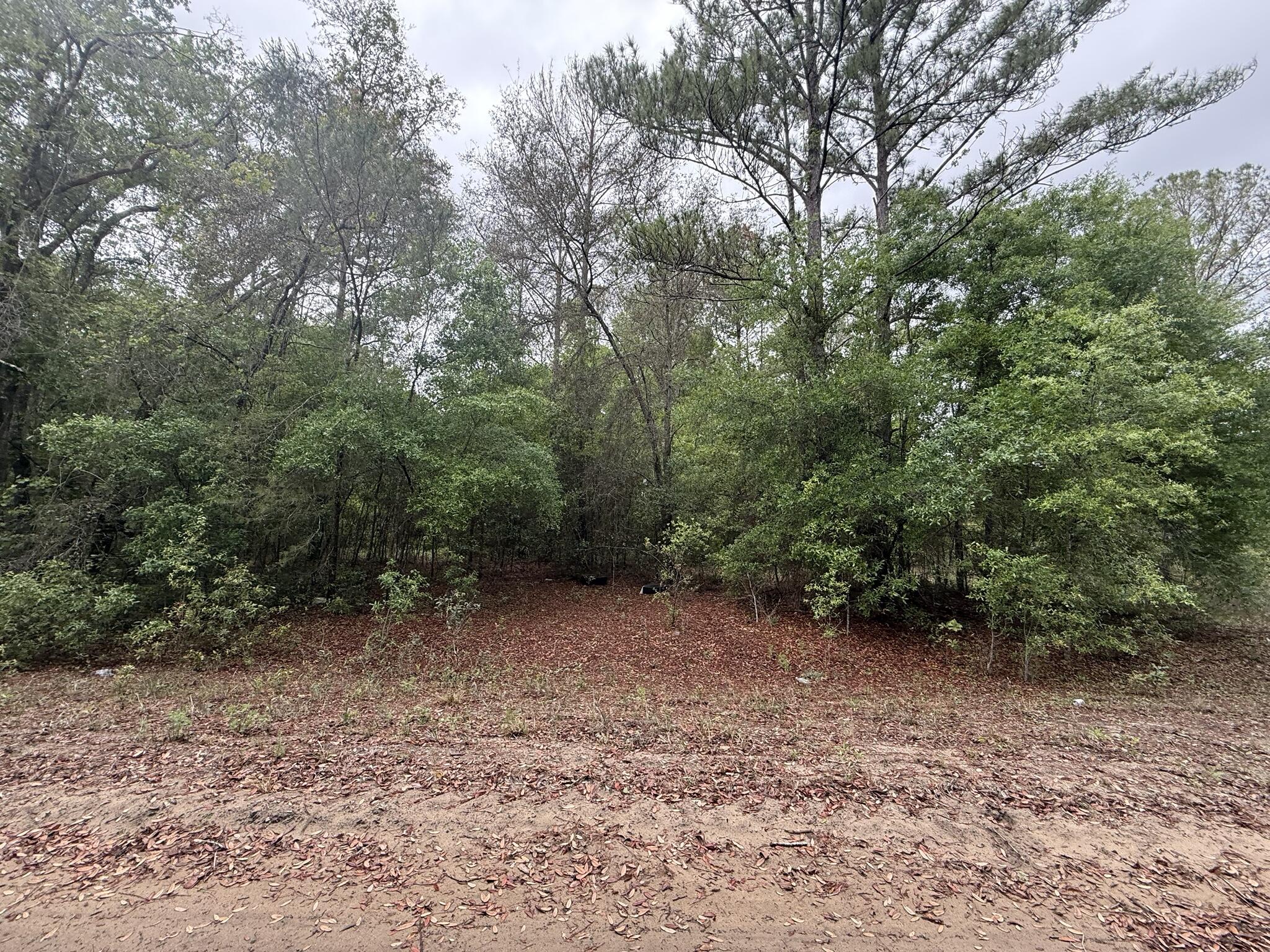 INTERLACHEN LAKES ESTATES - Land