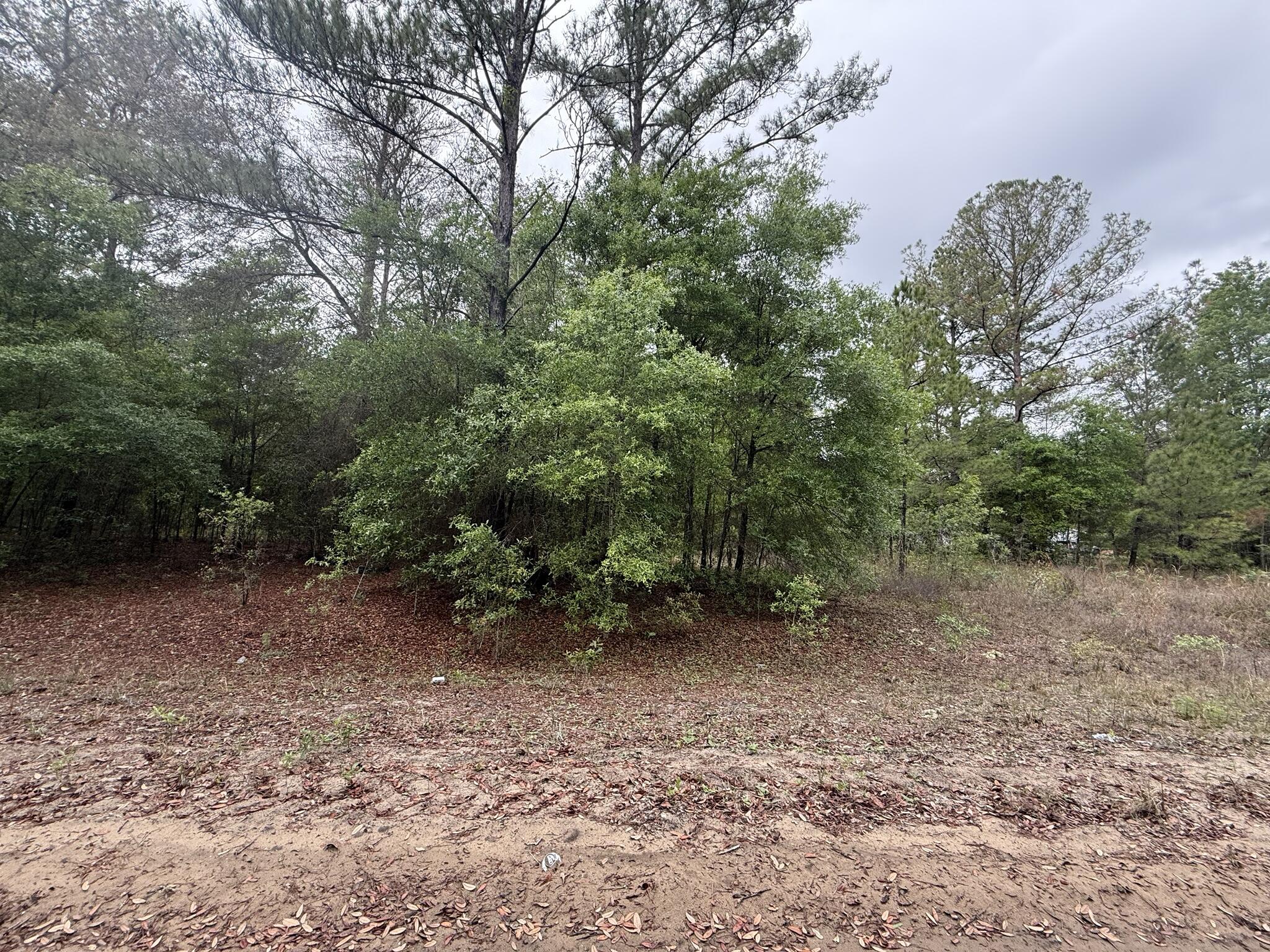 INTERLACHEN LAKES ESTATES - Land