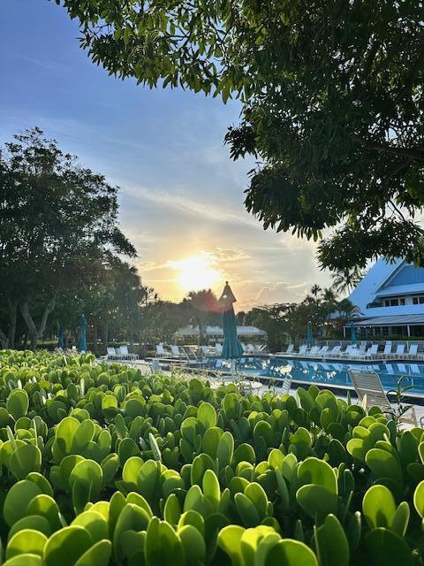 JUPITER BAY EAST CONDO - Residential