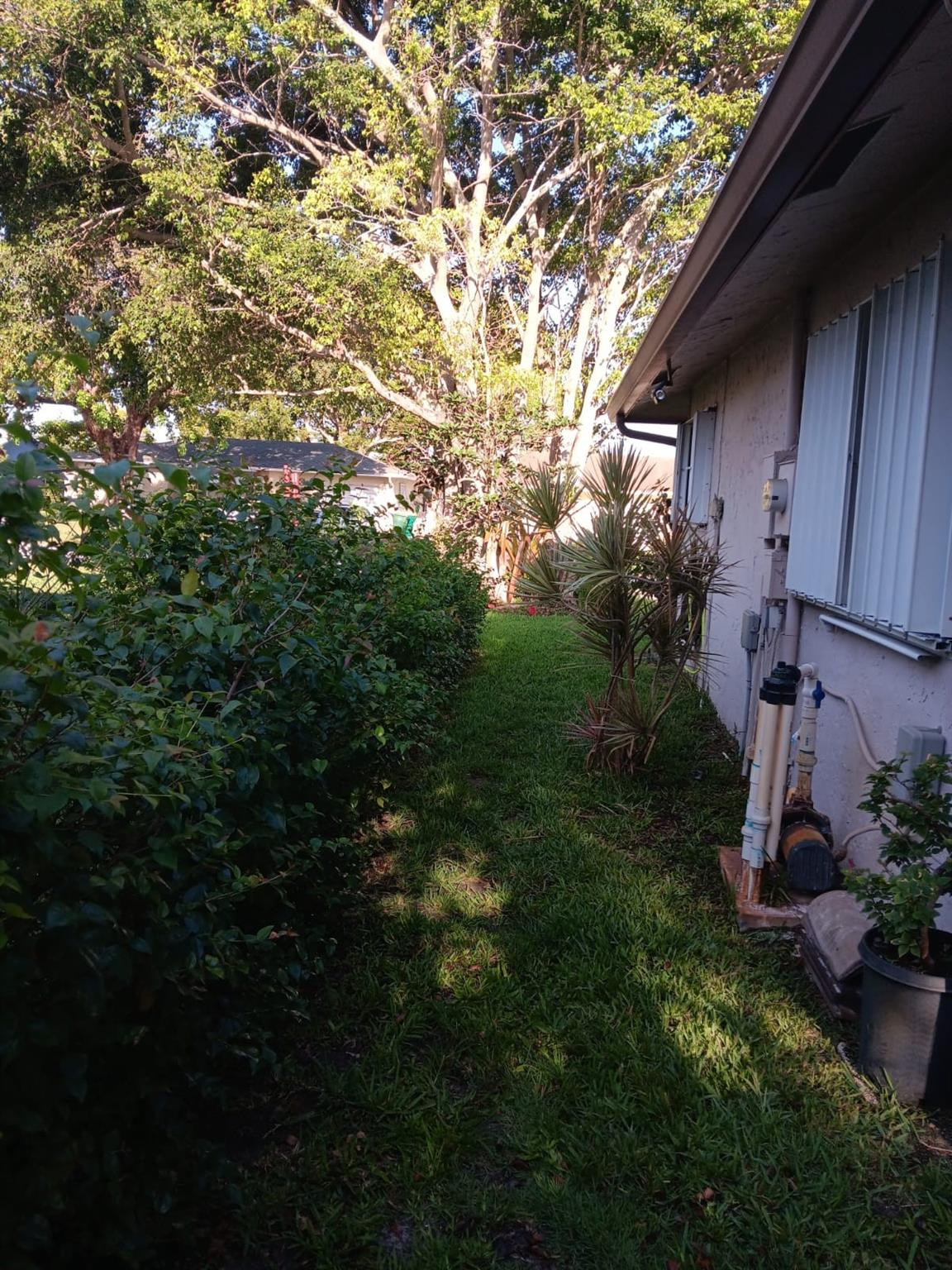 Westwood Commy 6 81-35 B - Residential