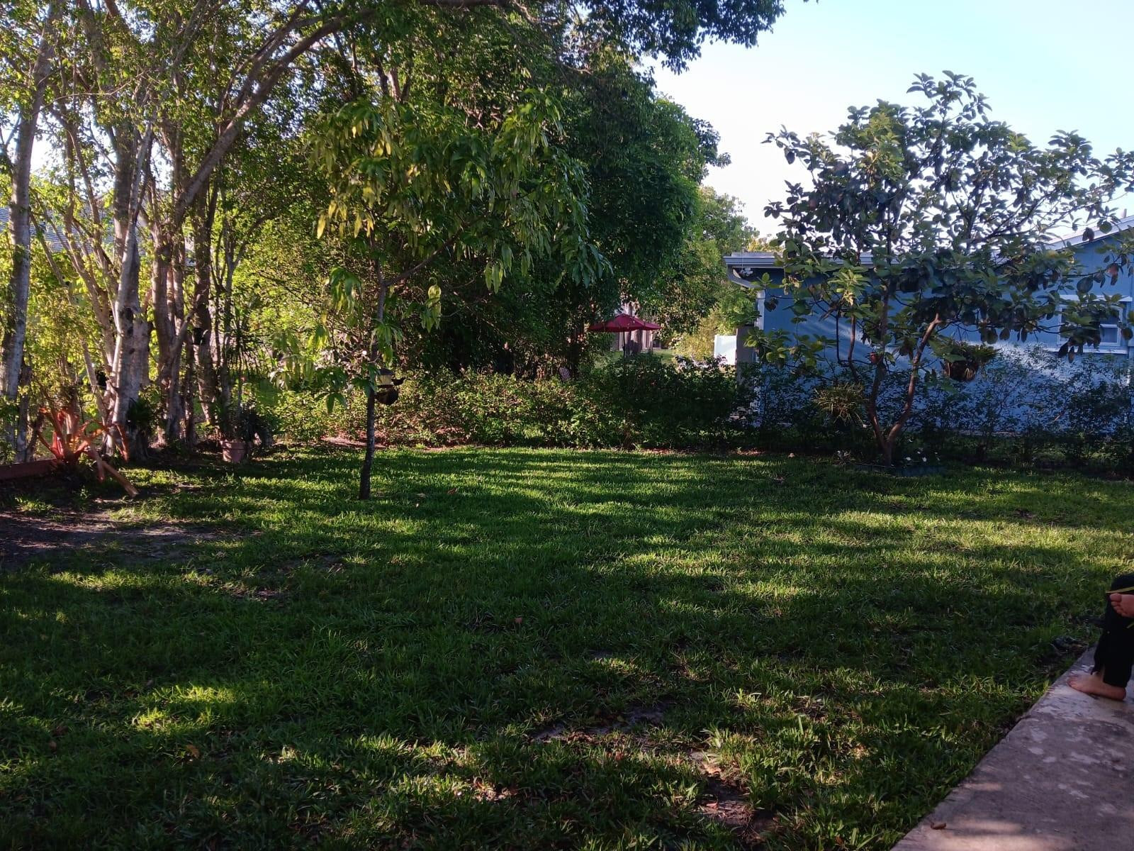 Westwood Commy 6 81-35 B - Residential