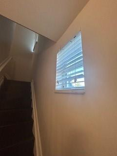 SHOAL CREEK AT LIGHTHOUSE - Residential