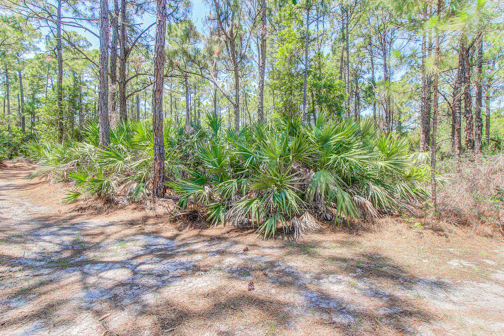 CAMBRIDGE AT ABACOA - Residential