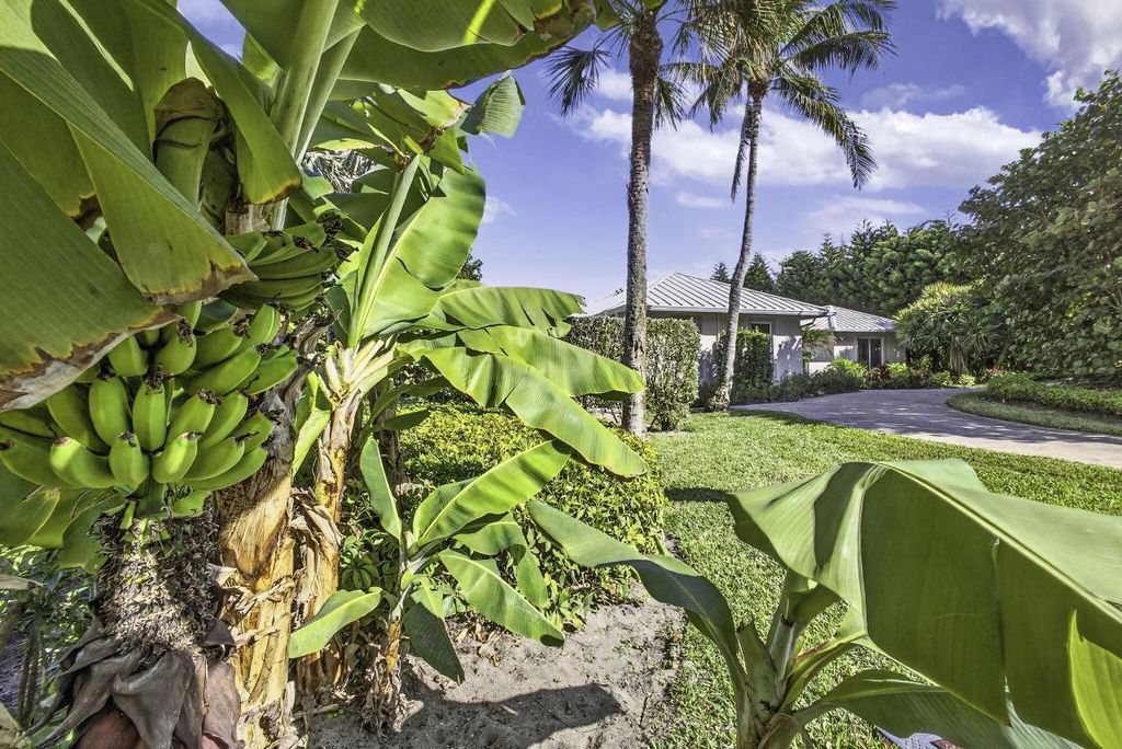 Photo of 77 N Beach Road, Jupiter Island, FL 33455 (MLS # R11116603)