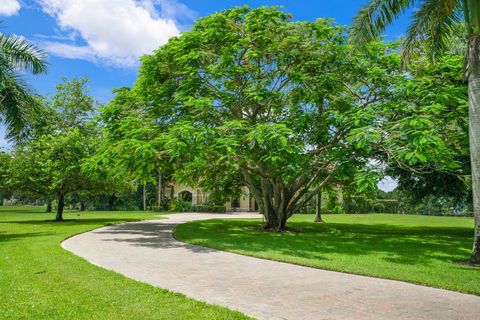 A home in Palm City