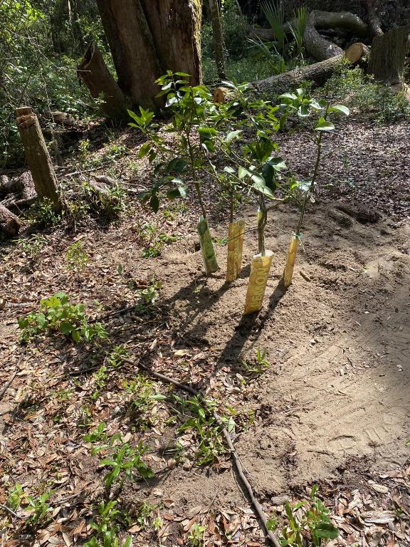 INTERLACHEN LAKES ESTATES UNIT #17 - Land