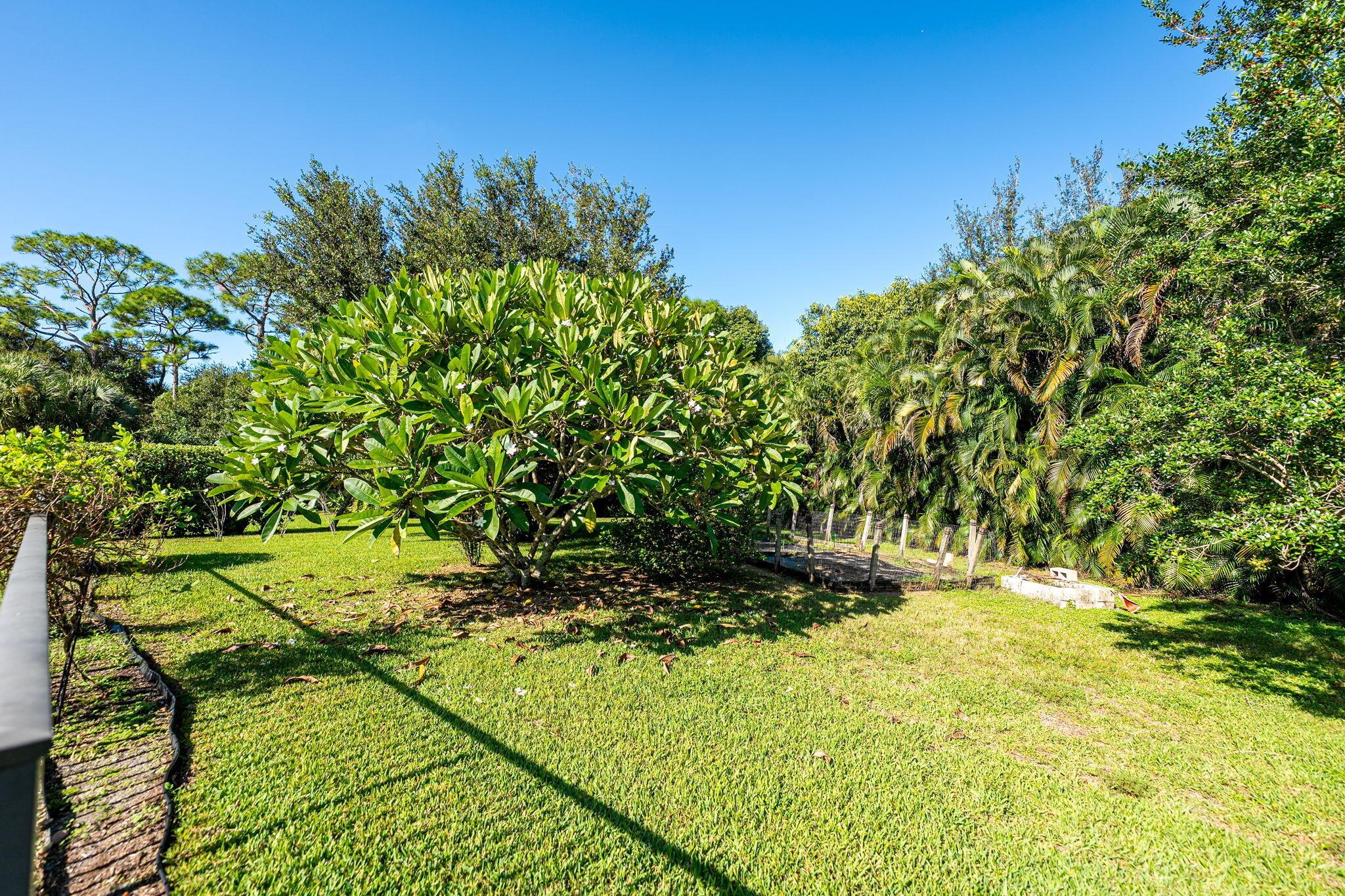Savannah Estates (VENETIA - Residential