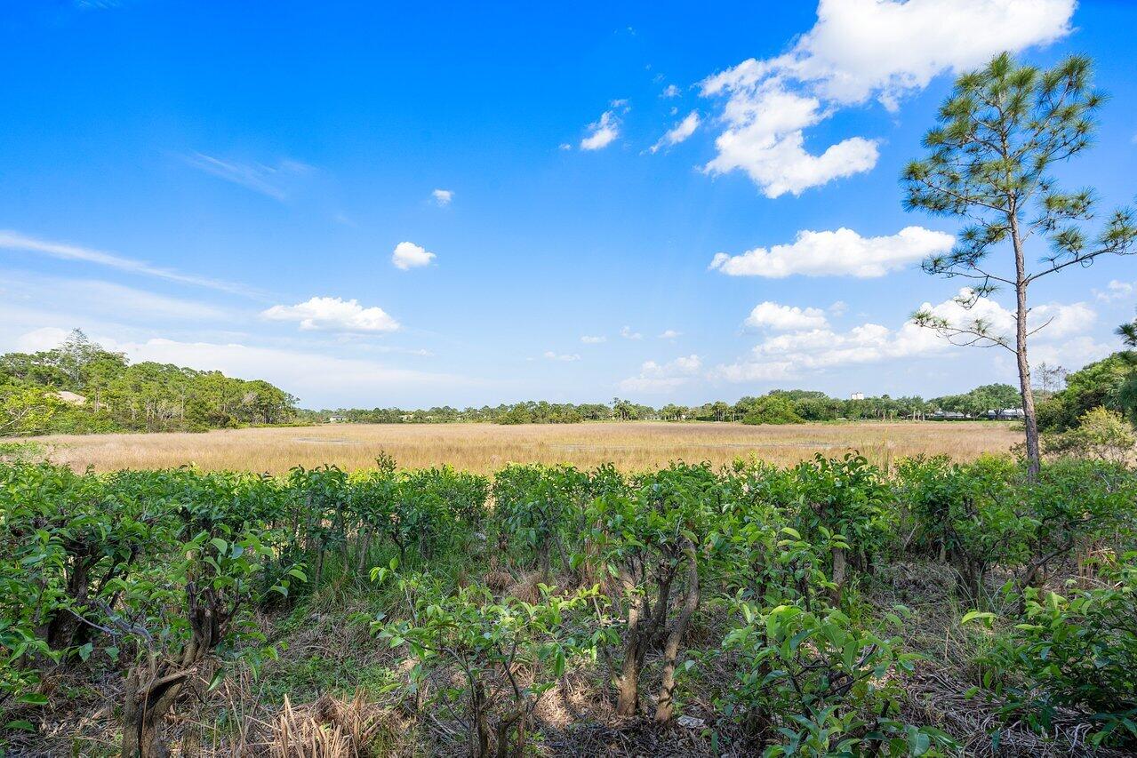 OLD MARSH GOLF CLUB - Residential