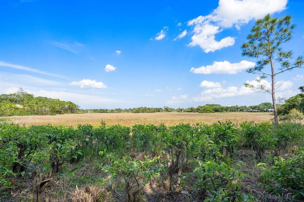 OLD MARSH GOLF CLUB - Residential