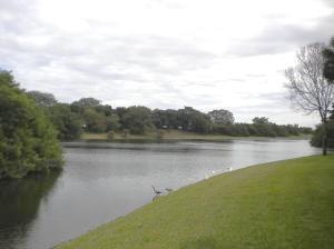 REFLECTIONS MISSION BAY - Residential Lease