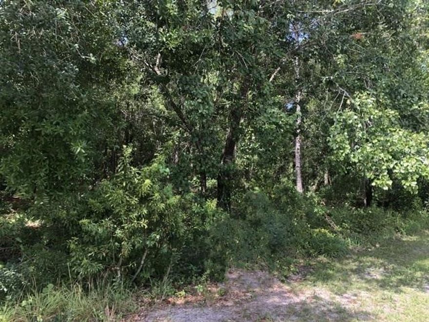 Owner Financing $2k down only!  Oversized Avon Park Estates property for your new Florida home. Low monthly payments make this property a must-see.  Adjacent property available