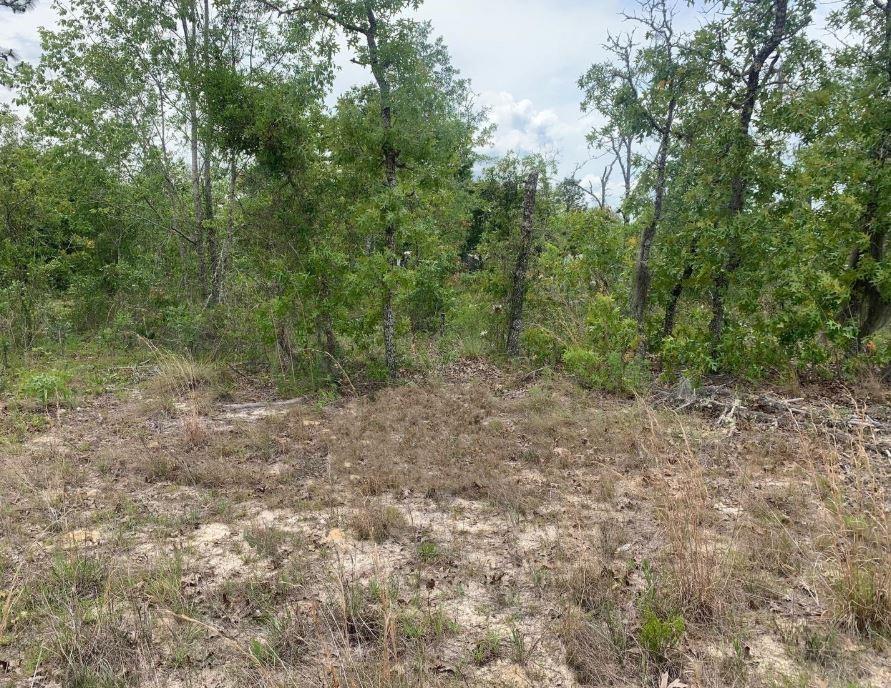 Mobile Homes permitted on this Interlachen building lot.
Owner Finance available only $1,500 down