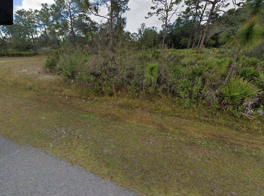 Discover the perfect canvas for your dream home in Indian Lakes Estates, FL on this half acre lot. Enjoy serene lakes, lush greenery, 2 golf courses, fishing, and easy access to Orlando and Tampa. Your opportunity to build your Florida oasis awaits! Owner is a REALTOR.