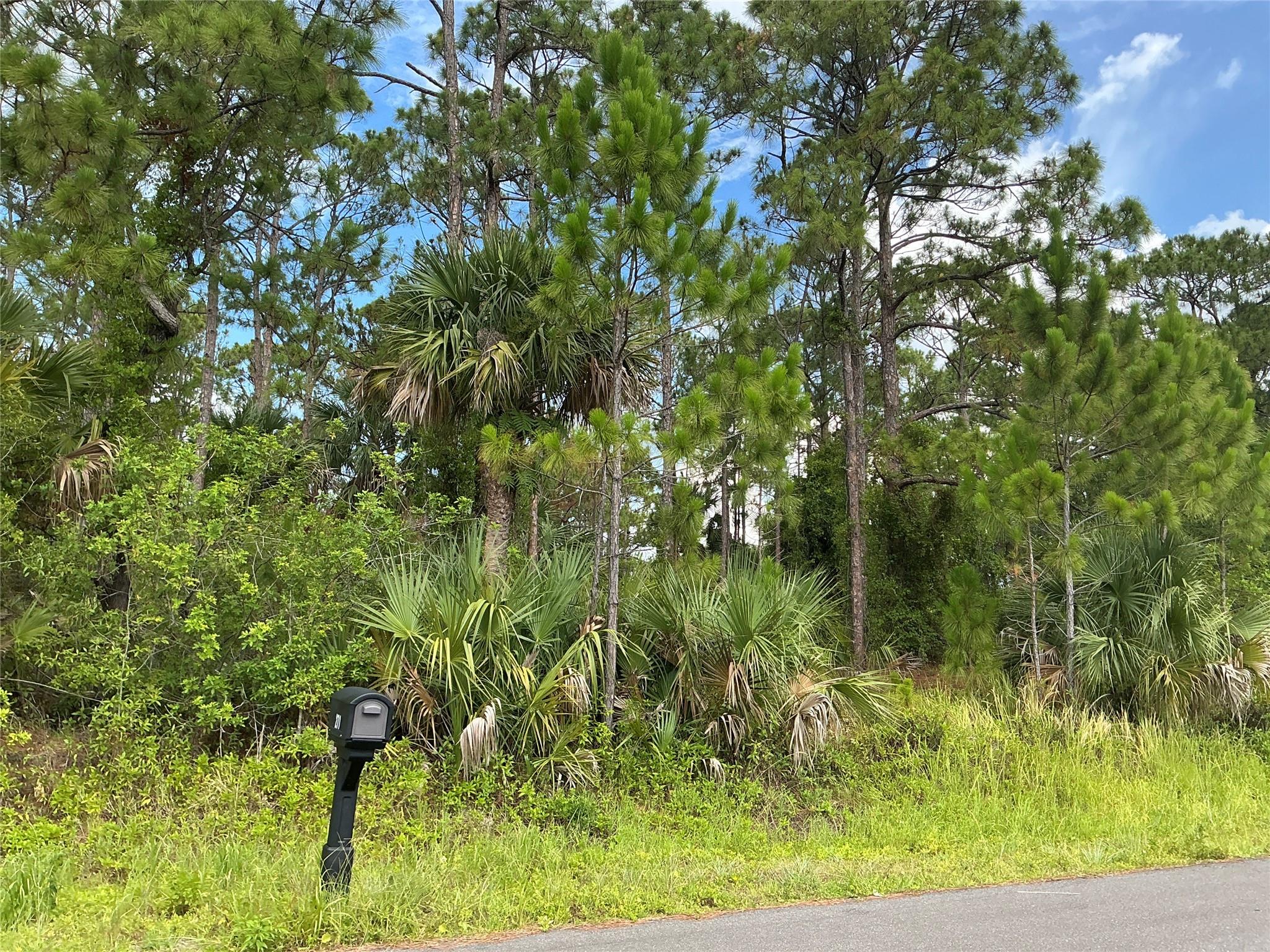270 MARDI GRAS