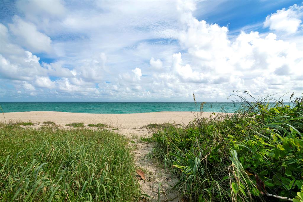 LEVERETT HOUSE CONDO - Residential