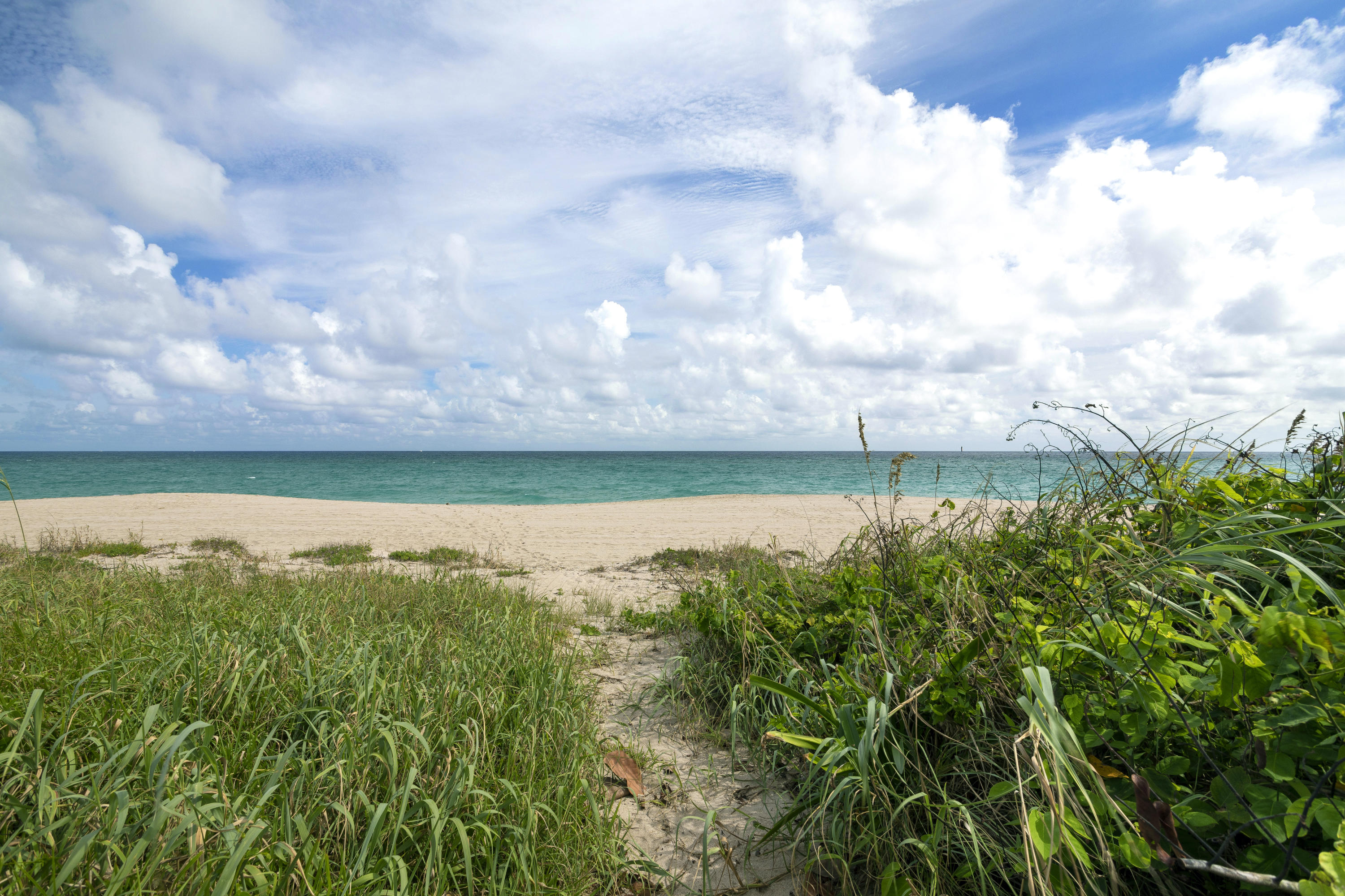 LEVERETT HOUSE CONDO - Residential