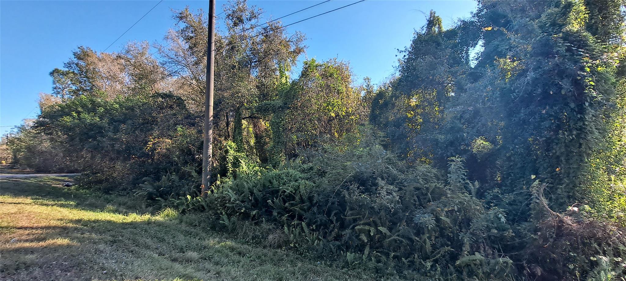 Okeechobee Hills - Land