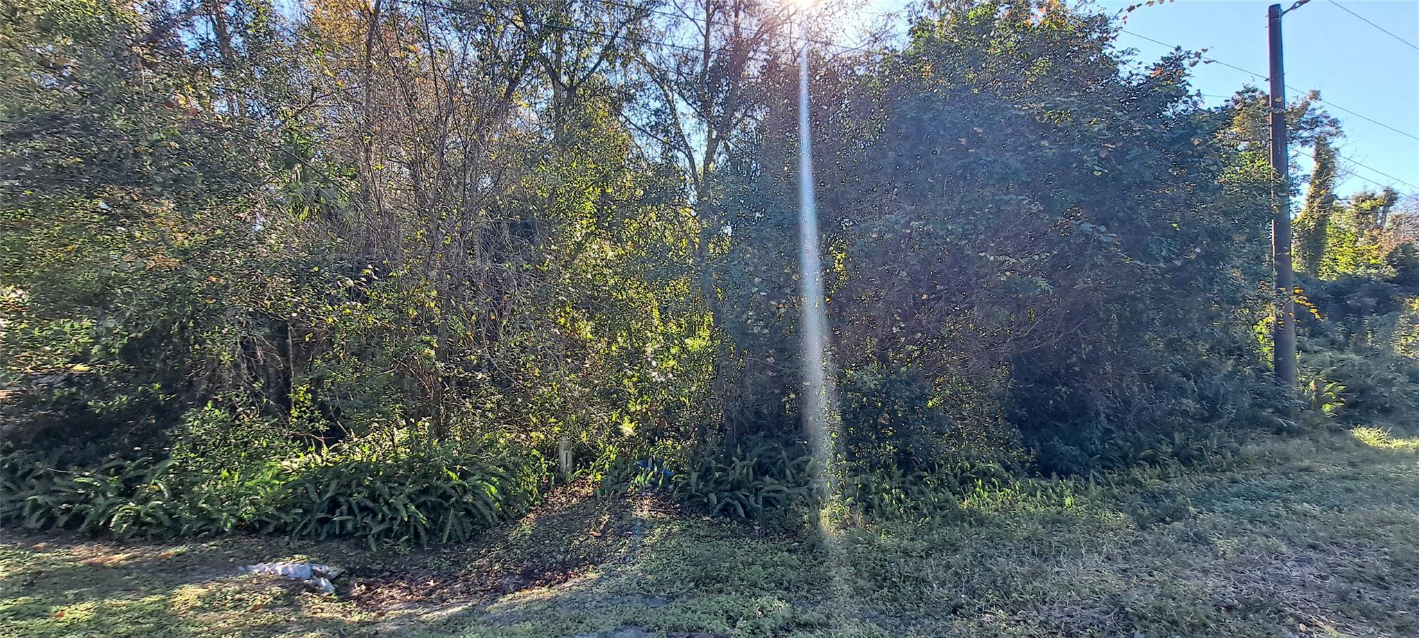 Okeechobee Hills - Land