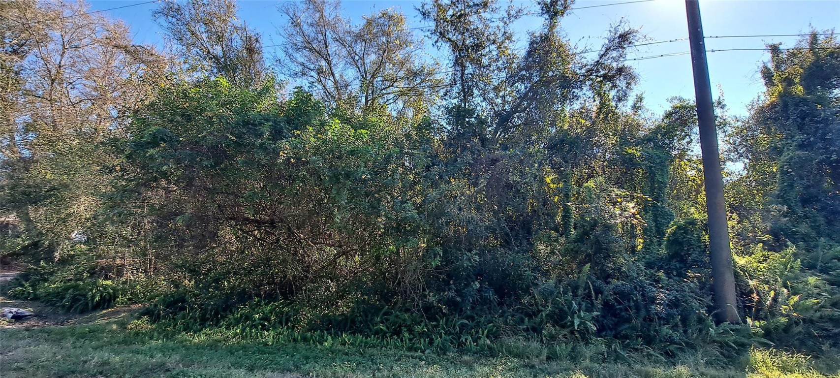 Okeechobee Hills - Land