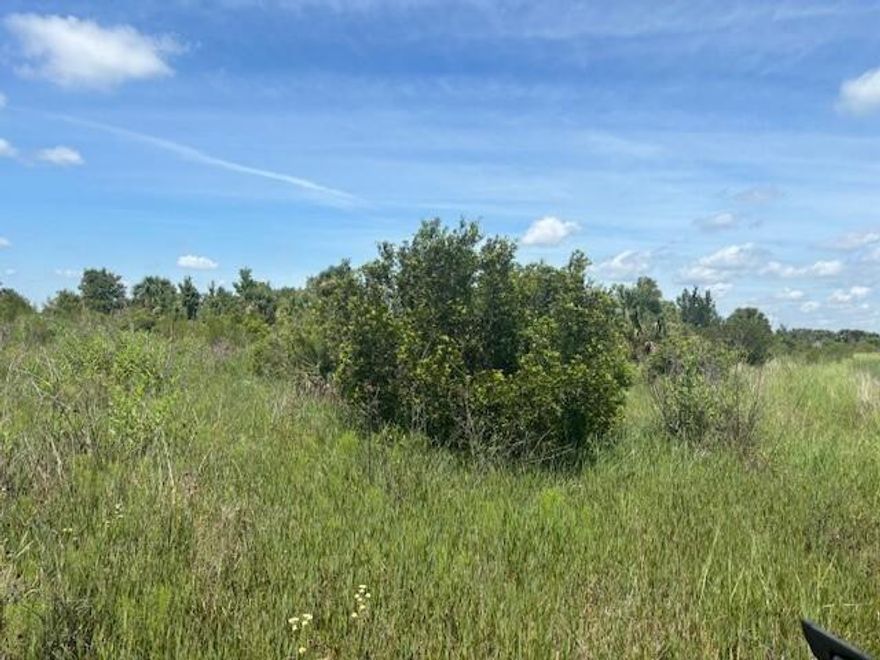 Double lot in Viking Estates. Close to the Kissimmee Prairie State Park. Bring your 4 -wheelers. This property is not only ideal for recreational uses such has camping, hunting and shooting, but it’s agricultural as well. 
Owner financing available