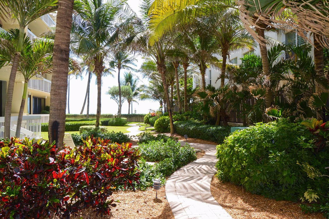 THREE THIRTY OCEAN CONDO - Residential