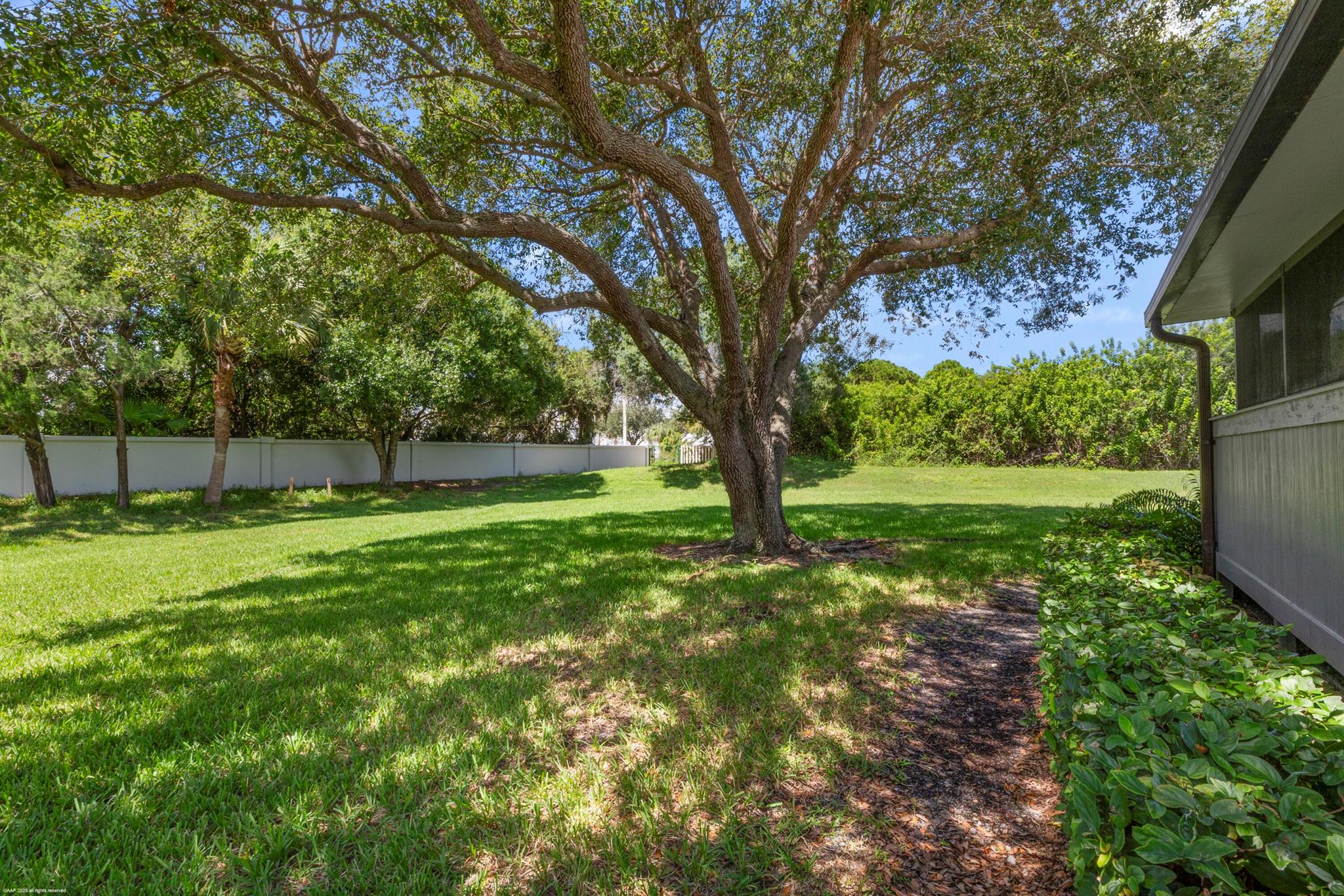 CINNAMON TREE - Residential