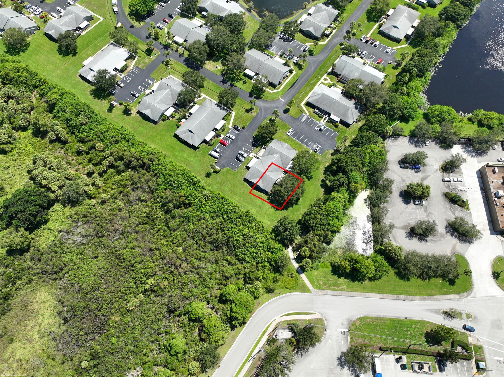 CINNAMON TREE - Residential