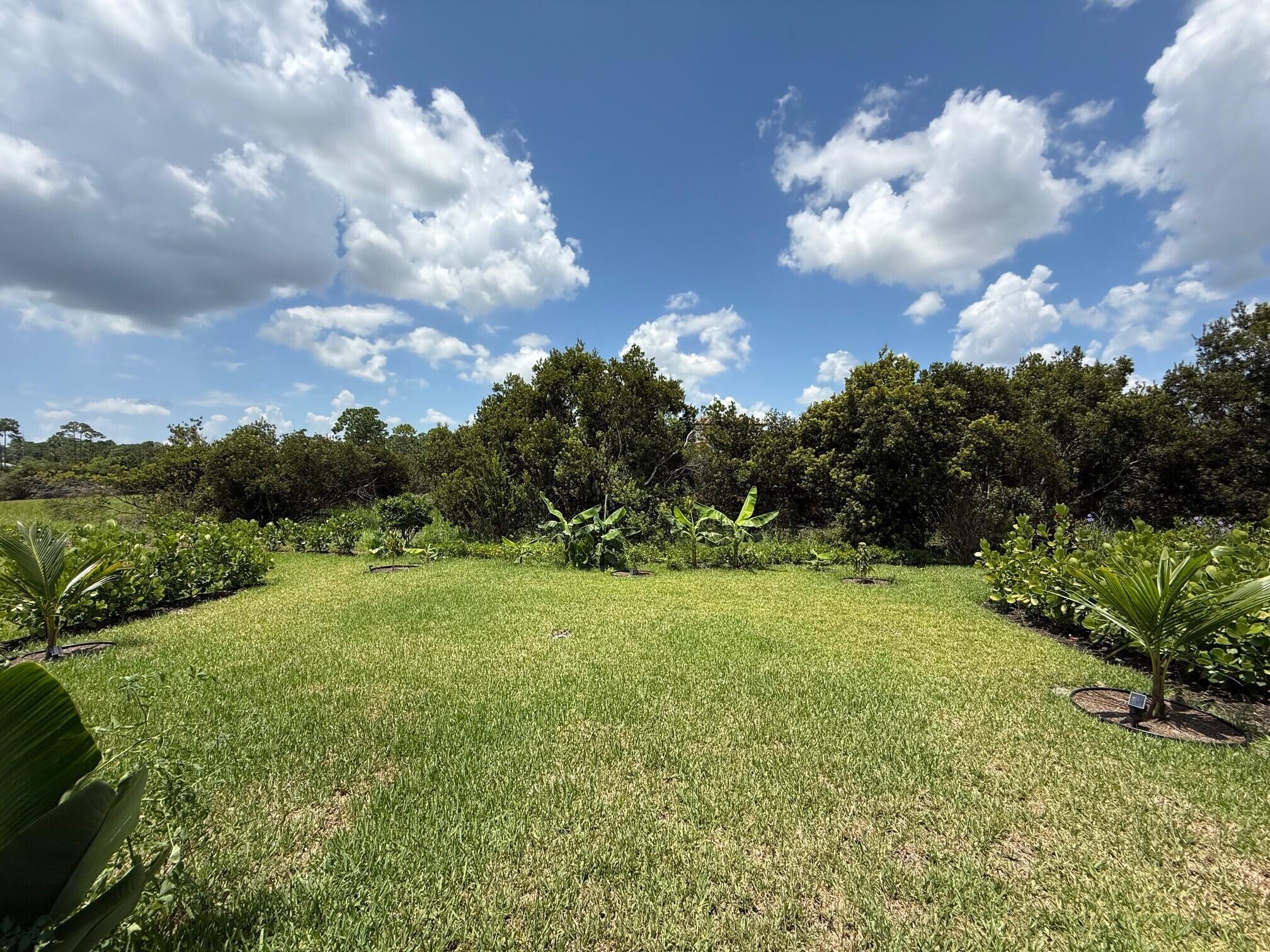 TESORO PRESERVE PLAT NO 2 - Residential
