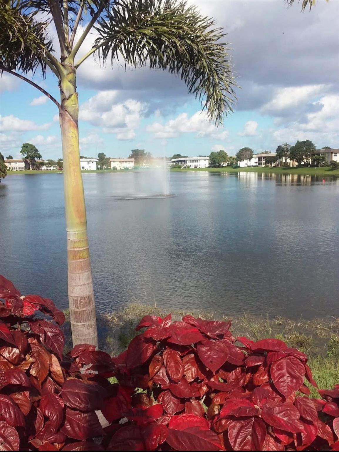 CAMBRIDGE CONDO - Residential Lease