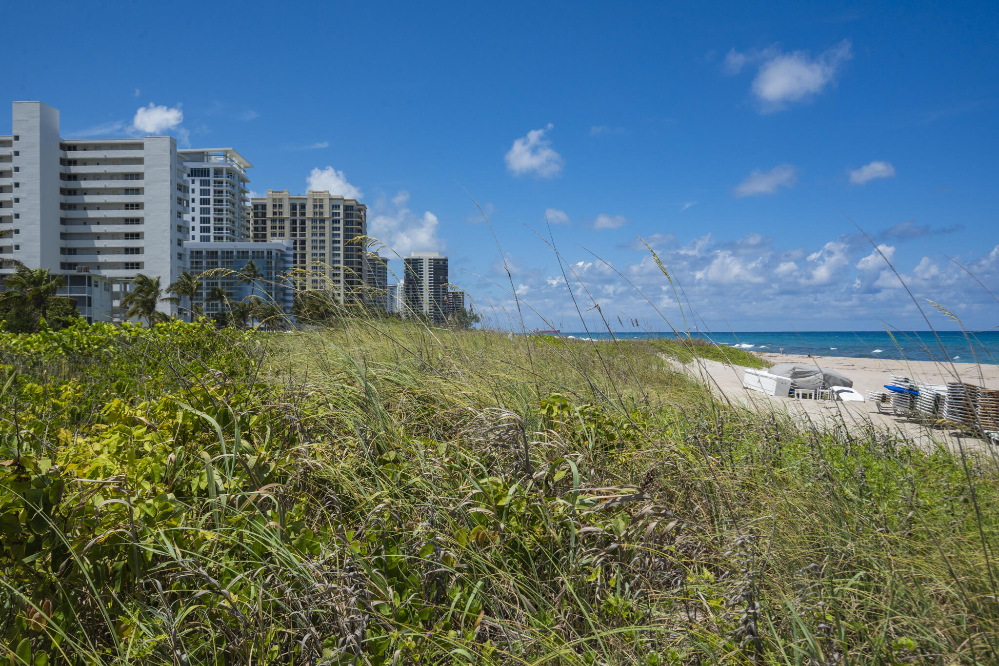 OCEANTREE CONDO - Residential