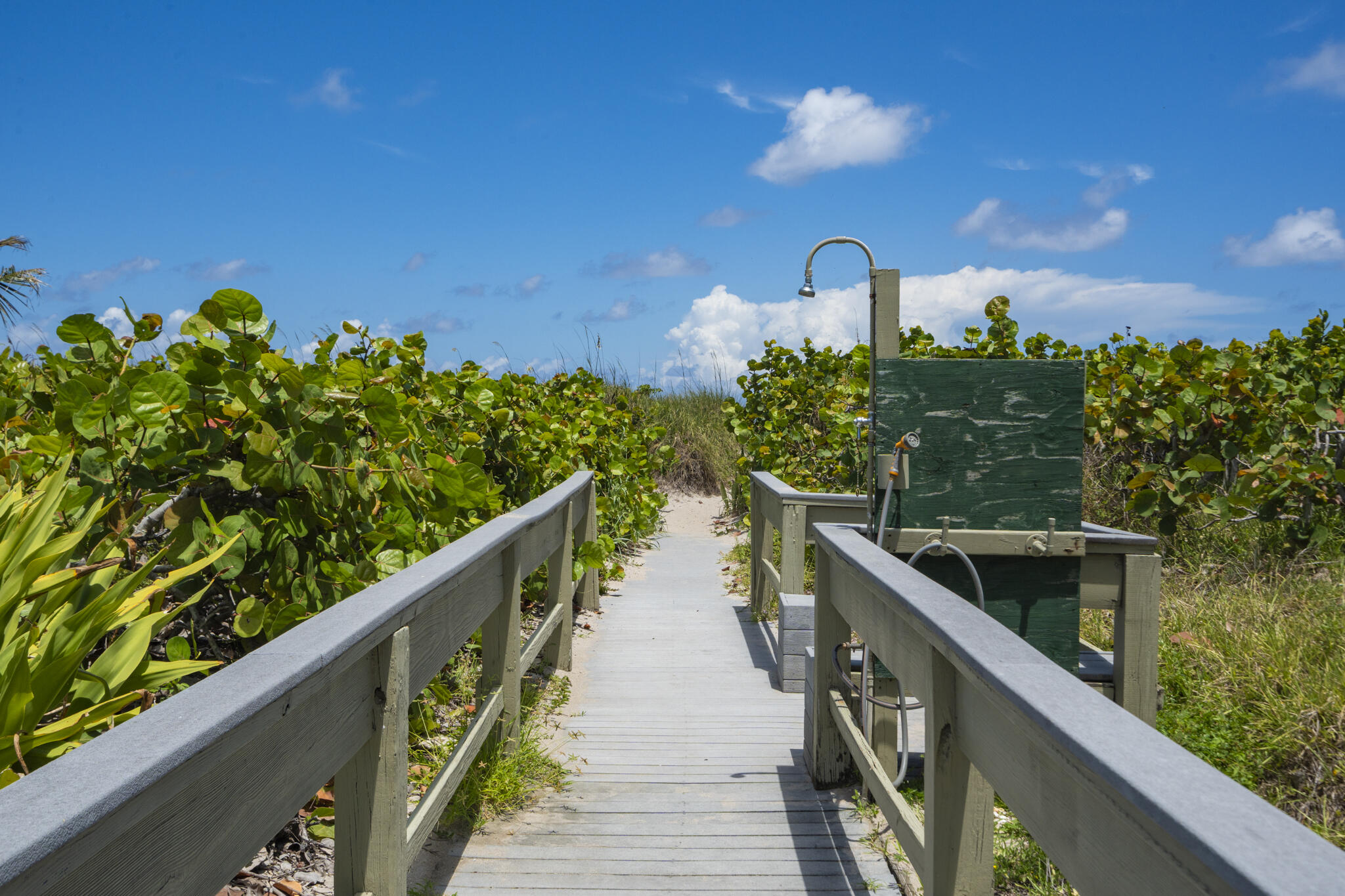 OCEANTREE CONDO - Residential