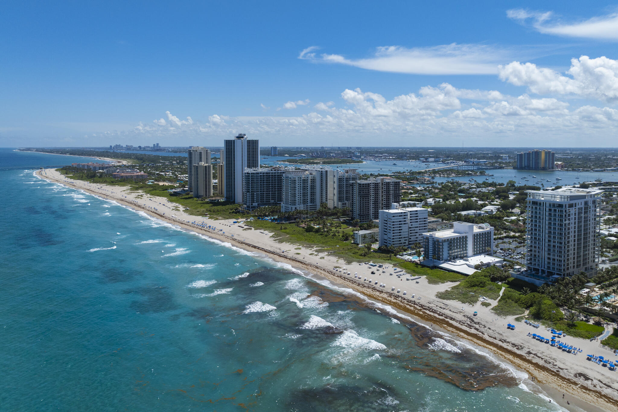 OCEANTREE CONDO - Residential