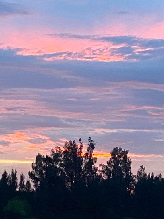 MELLEN GROVES - Residential