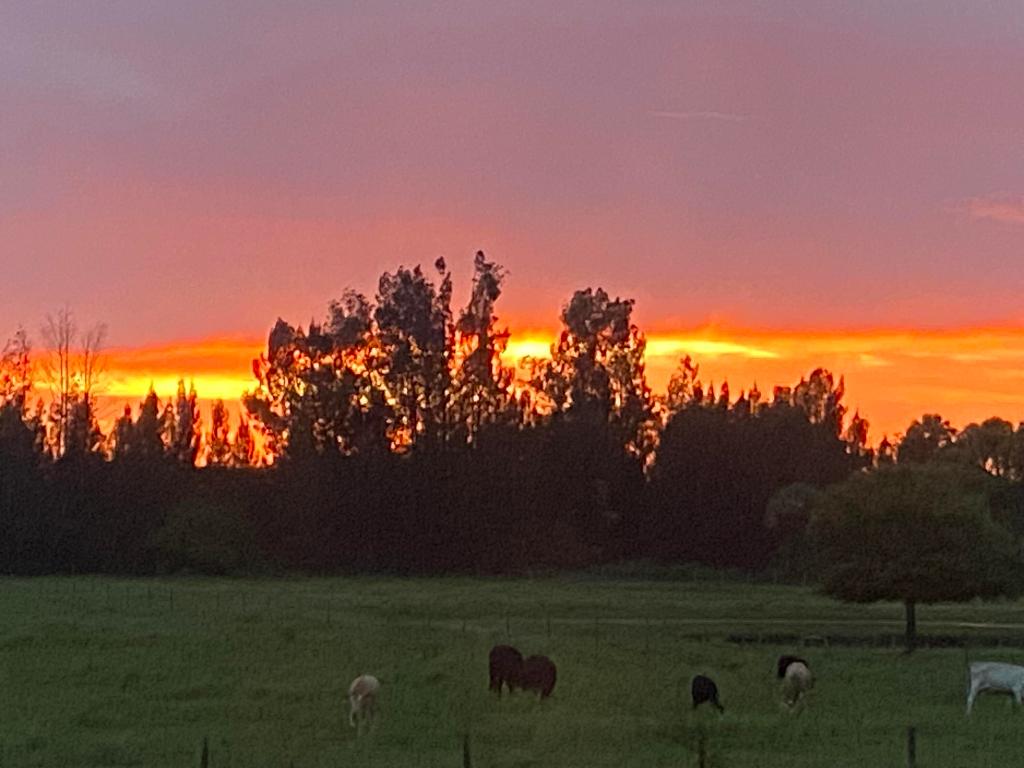 MELLEN GROVES - Residential